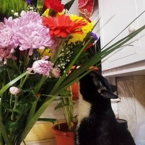 Meet your Posher, Nelly